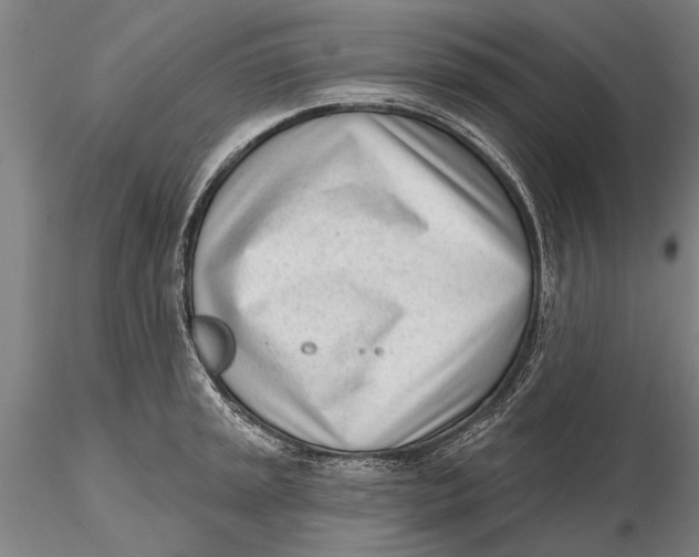 X0000116151045200912141152