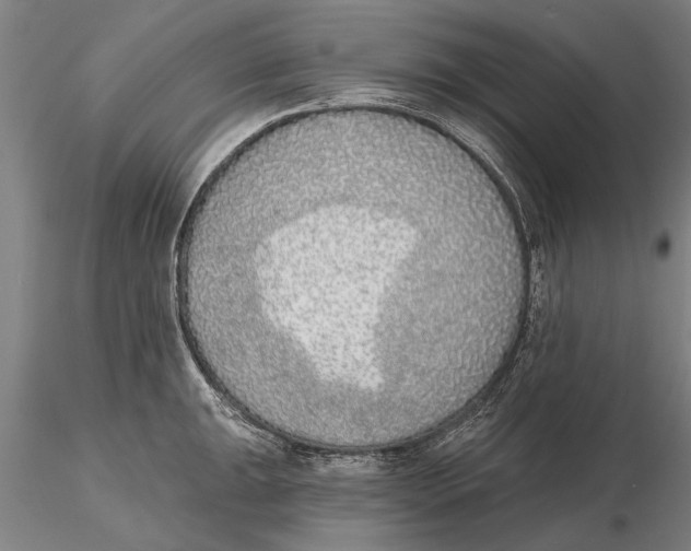 X0000116151047200912141152