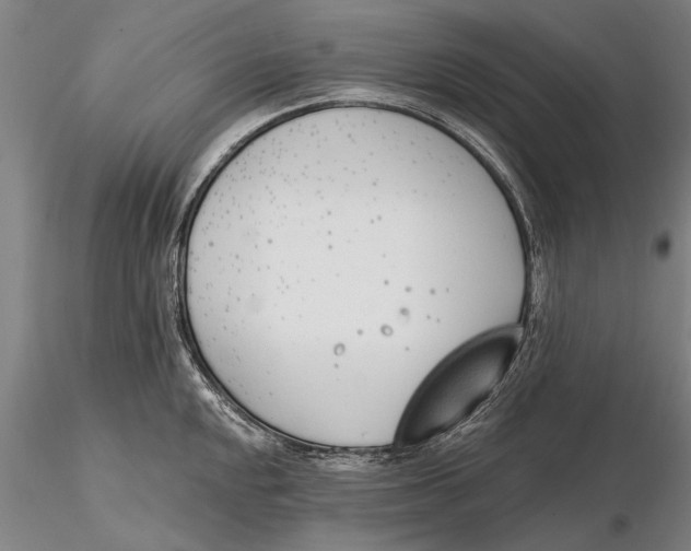 X0000116151048200912141152