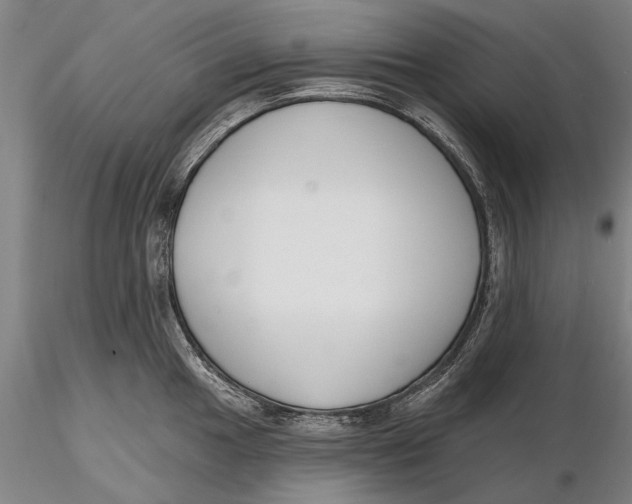 X0000116151049200912141152