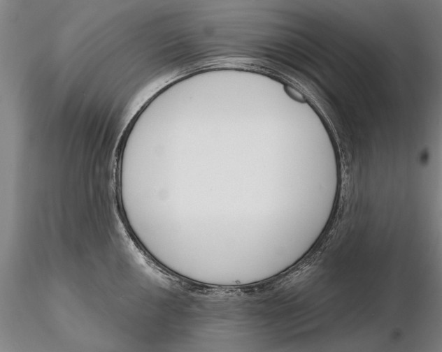 X0000116151050200912141152