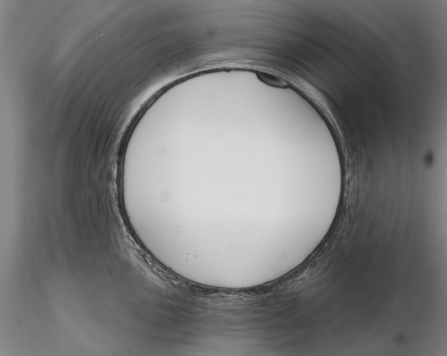 X0000116151051200912141152