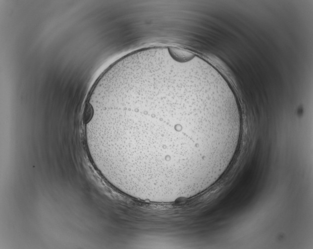 X0000116151052200912141152