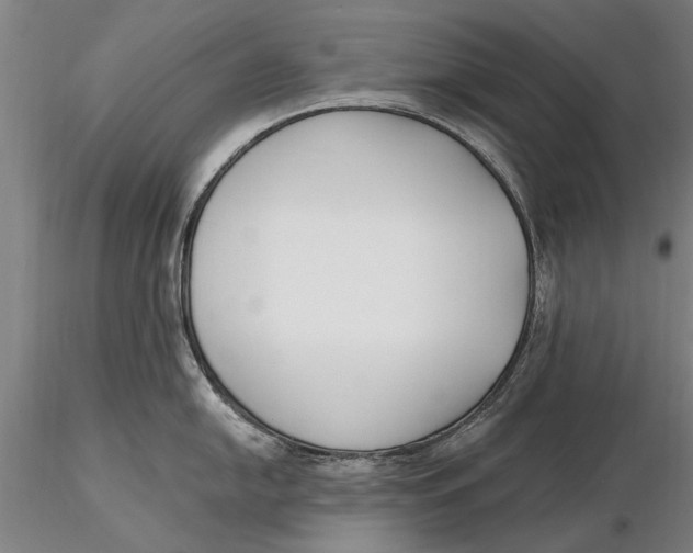 X0000116151054200912141152