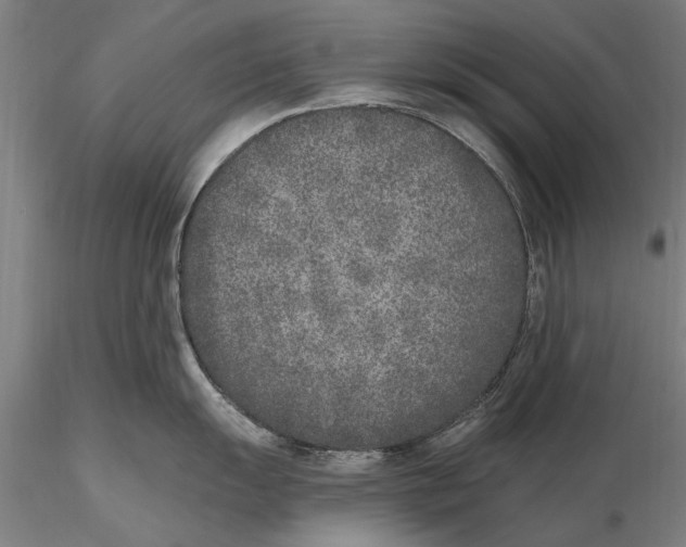 X0000116151055200912141152