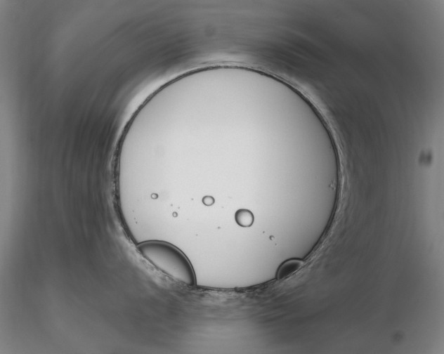 X0000116151056200912141152