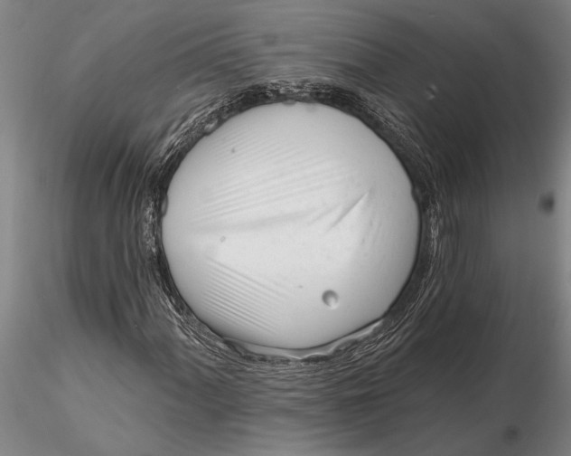 X0000116151060200912141151