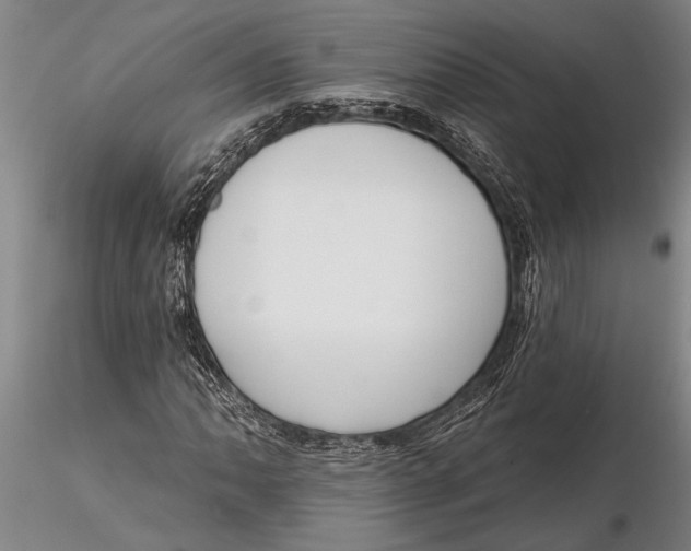 X0000116151062200912141151