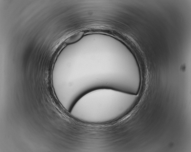 X0000116151065200912141151