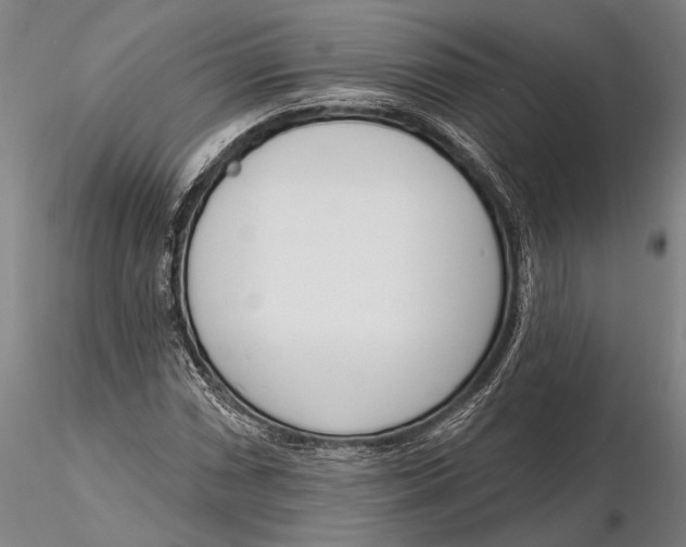 X0000116151066200912141151