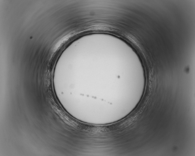 X0000116151067200912141151