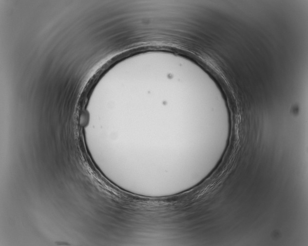 X0000116151068200912141151