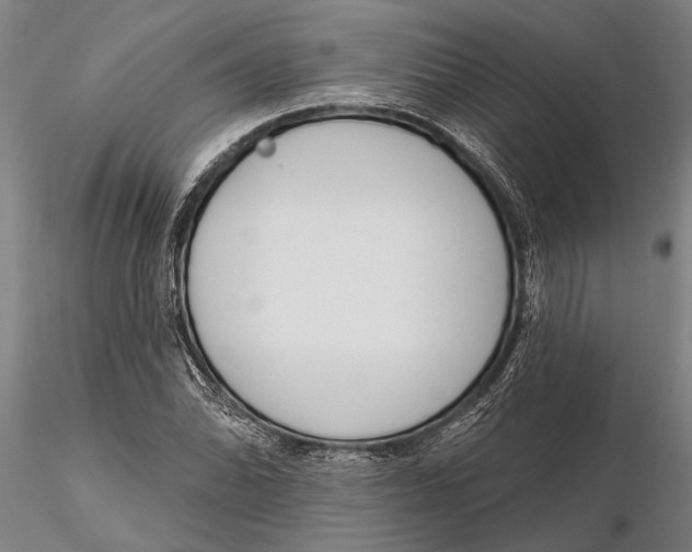 X0000116151070200912141151