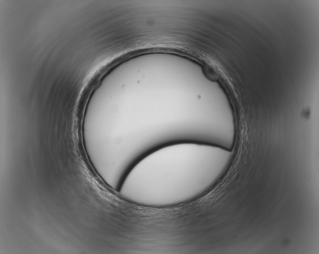 X0000116151072200912141151