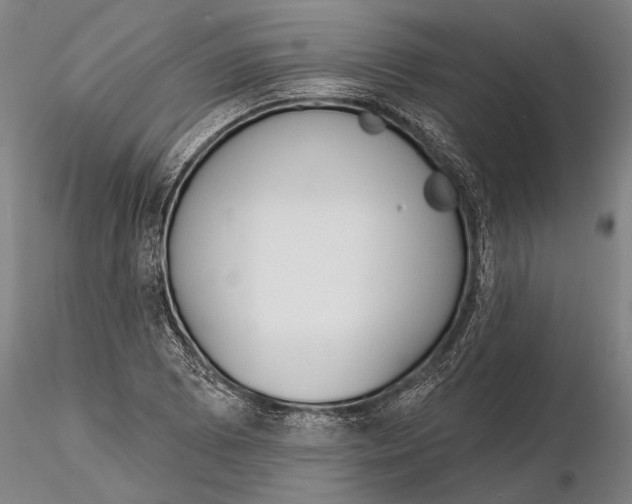 X0000116151073200912141151