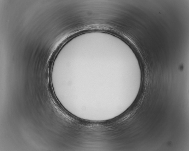 X0000116151075200912141151