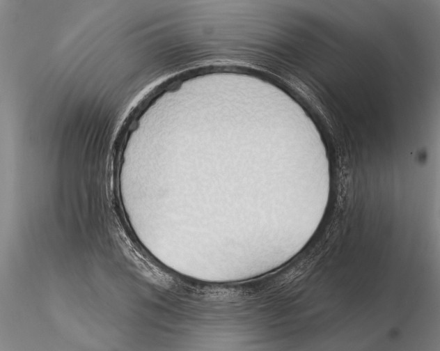 X0000116151076200912141151