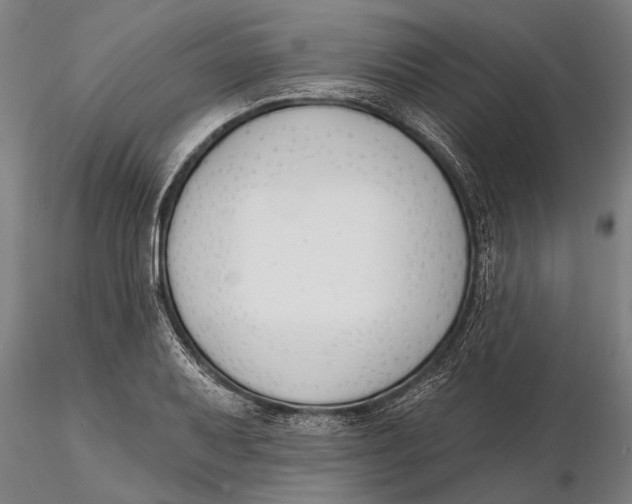 X0000116151079200912141151