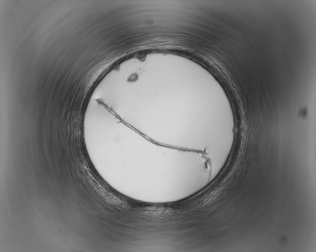 X0000116151081200912141151