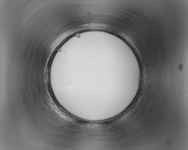 X0000116151082200912141151