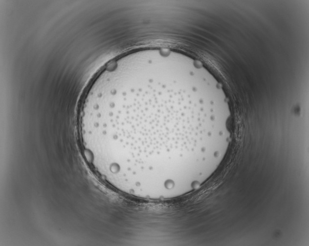 X0000116151087200912141151