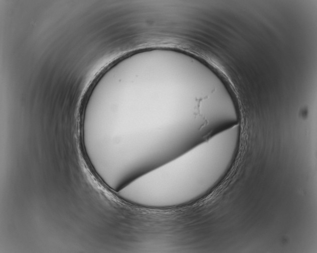 X0000116151088200912141151