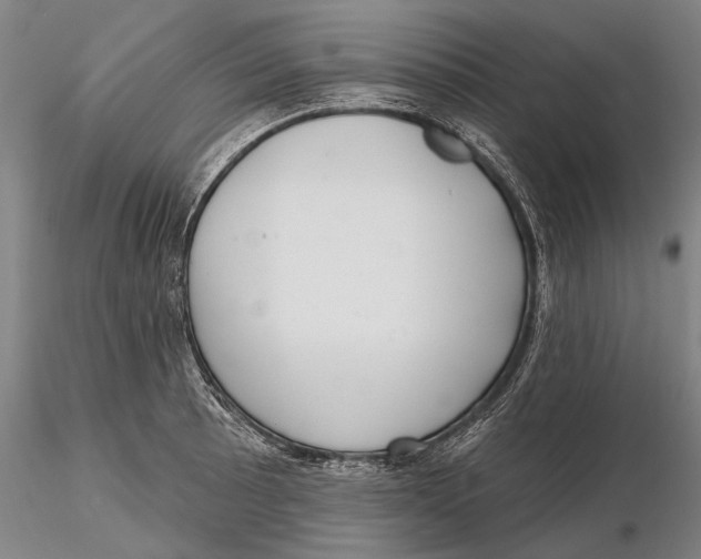 X0000116151089200912141151