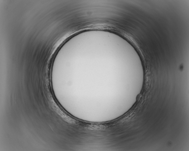 X0000116151091200912141151