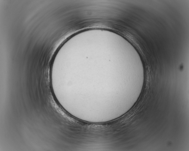 X0000116151092200912141151