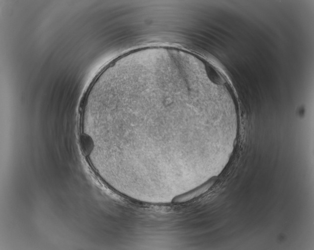 X0000116151096200912141151