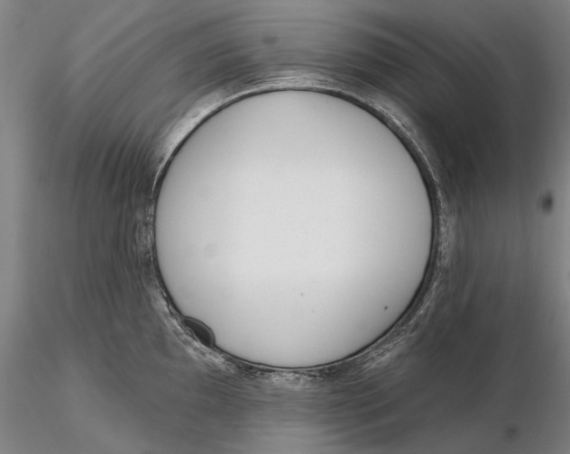 X0000116151097200912141151