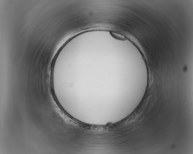 X0000116151099200912141151