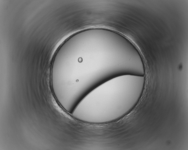 X0000116151100200912141151