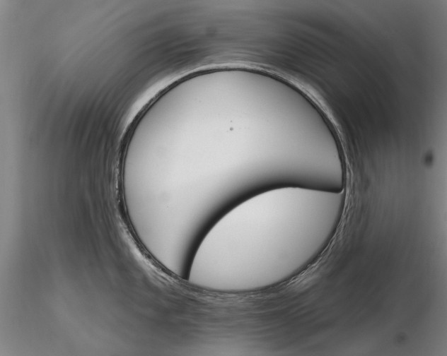 X0000116151101200912141151