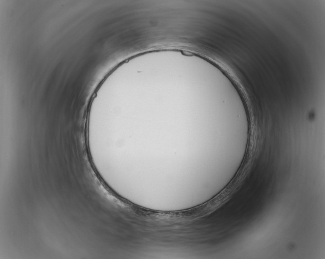 X0000116151102200912141151