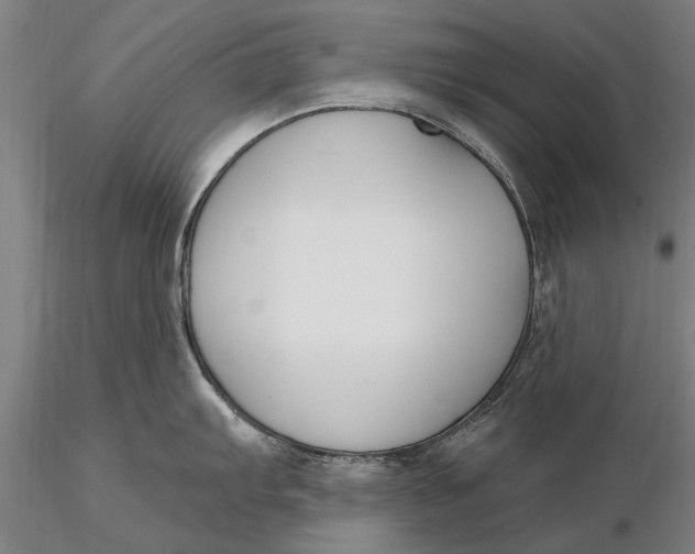 X0000116151103200912141151