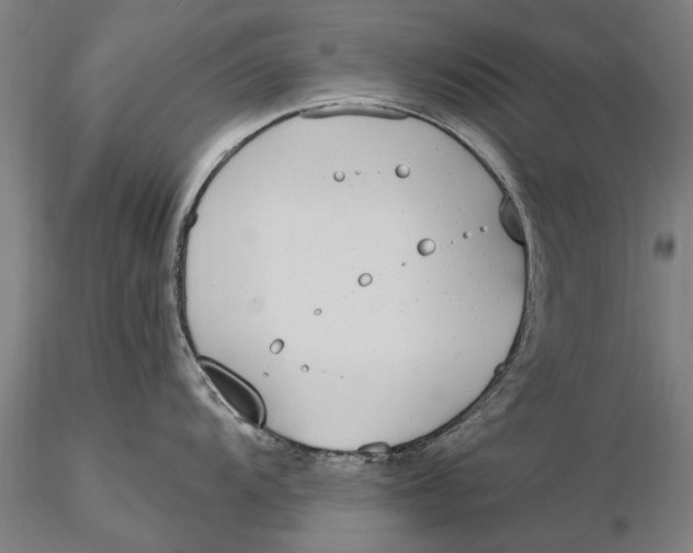 X0000116151104200912141151