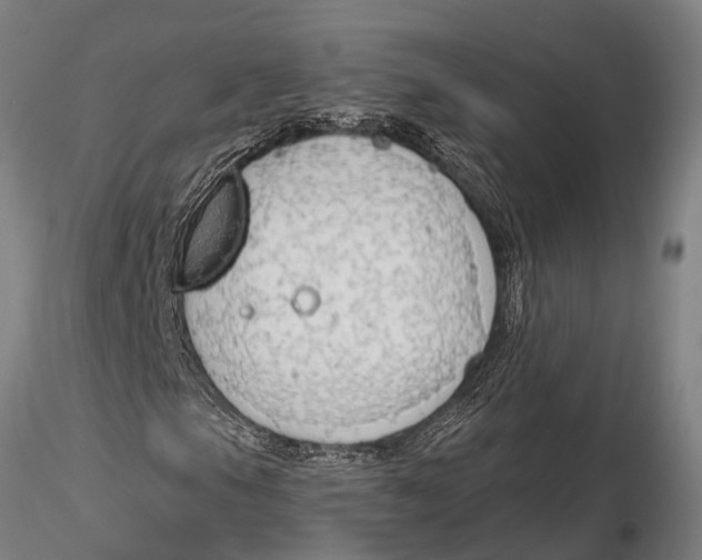 X0000116151105200912141150