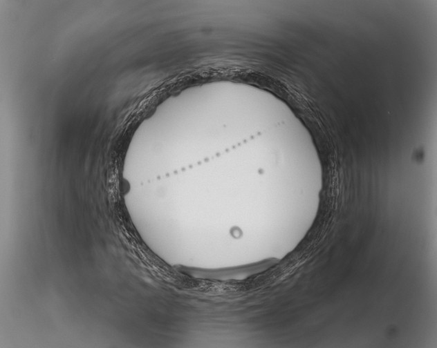 X0000116151109200912141150