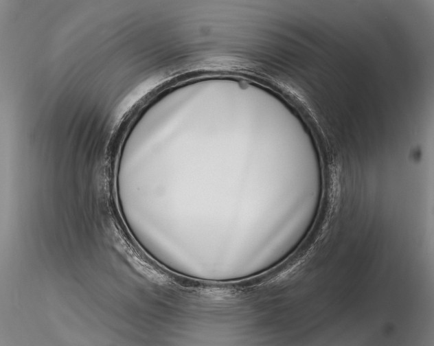 X0000116151114200912141150