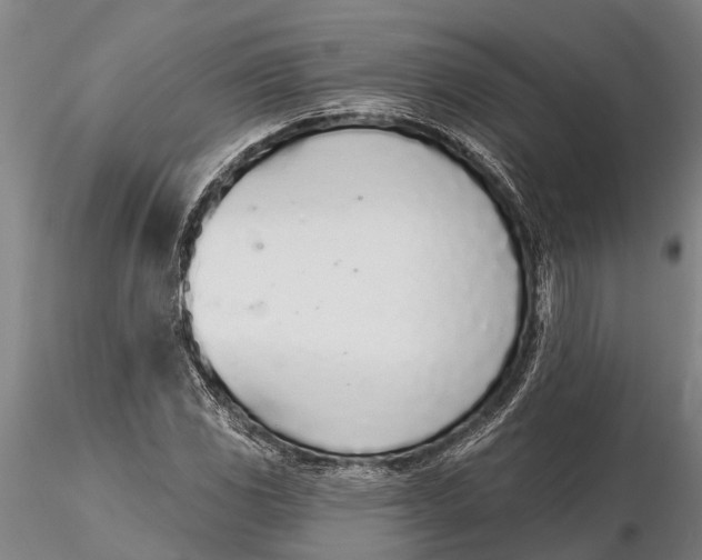 X0000116151117200912141150