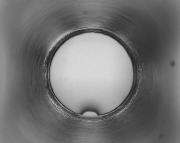 X0000116151118200912141150