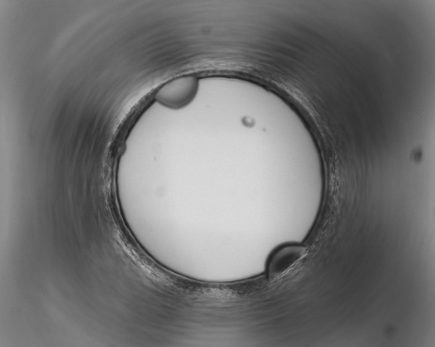 X0000116151119200912141150