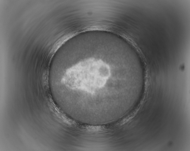 X0000116151121200912141150