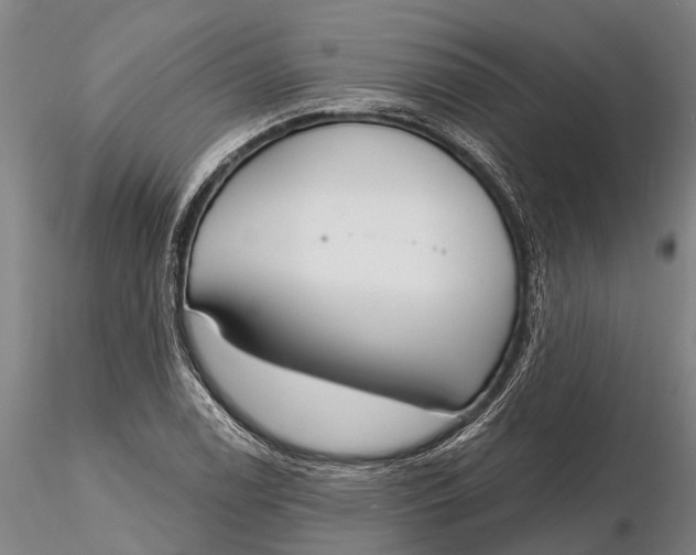 X0000116151122200912141150