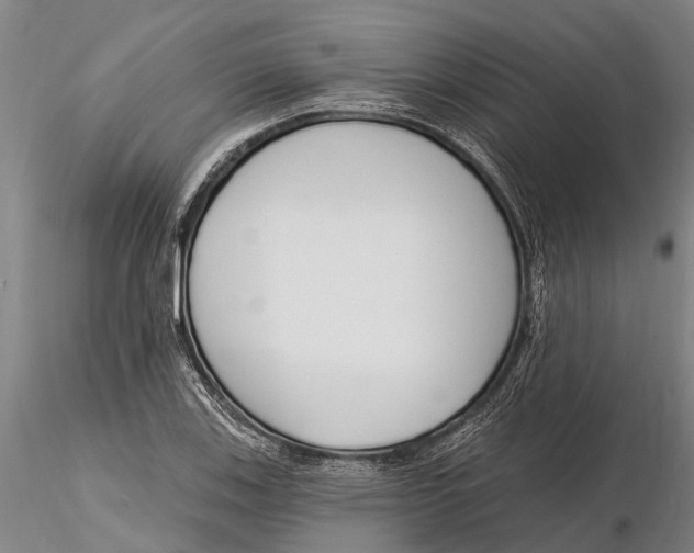 X0000116151123200912141150