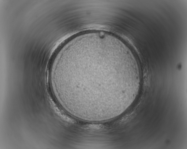 X0000116151125200912141150