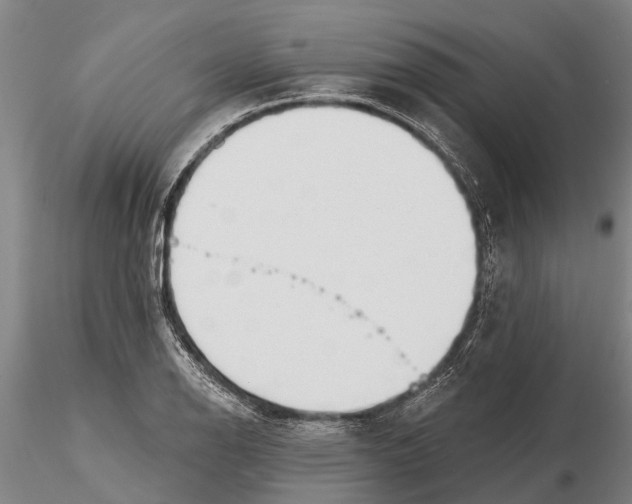 X0000116151126200912141151