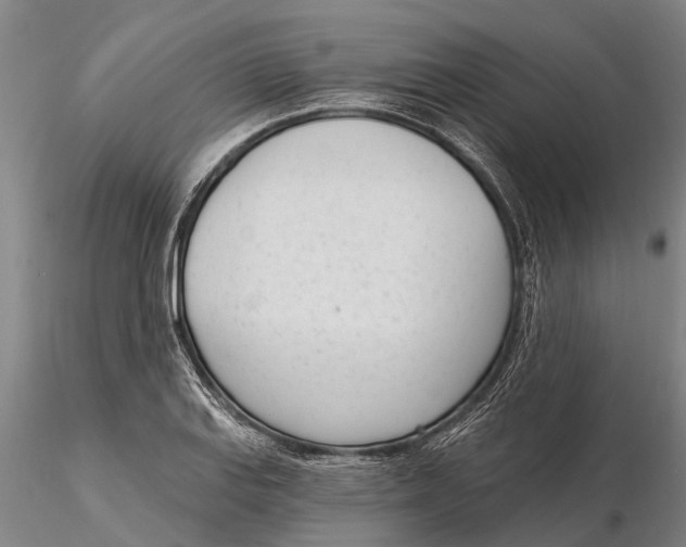 X0000116151127200912141151