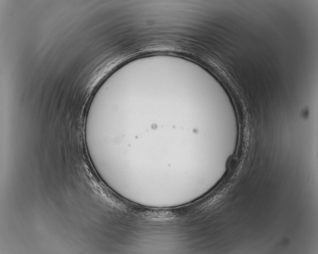 X0000116151129200912141151